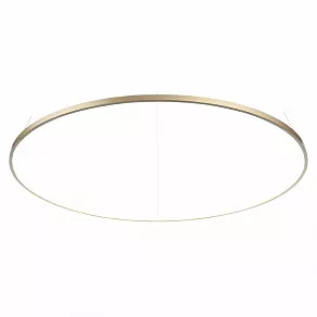 Подвесной светильник ST-Luce Erto SL904.213.01
