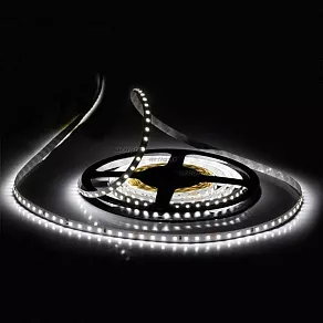 Лента светодиодная Arlight RT 2-5000 24V White6000 1.6x (2835, 490 LED, PRO) 019913(B)