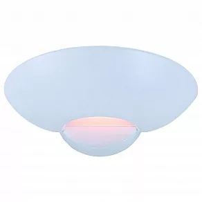 Накладной светильник Arte Lamp Interior A7118AP-1WH