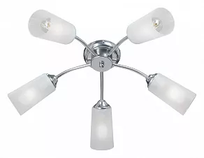 Потолочная люстра Vitaluce V3759 V3759-9/5PL