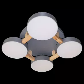 Накладной светильник Natali Kovaltseva 2132 LED LAMPS 81326