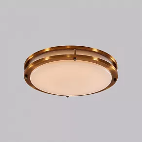 Накладной светильник Citilux Бостон CL709403