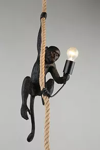 Подвесной светильник Aployt Magali APL.309.16.01