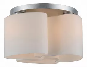 Накладной светильник ST-Luce Nuvole SL545.502.03