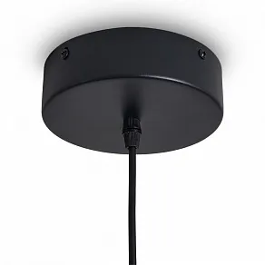 Подвесной светильник Freya ИСТИНА FR6181PL-L9B