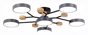 Потолочная люстра EVOLUCE Faema SLE6006-702-06