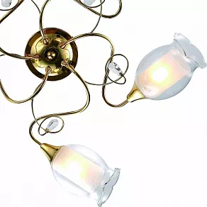 Потолочная люстра Arte Lamp Mughetto A9289PL-5GO