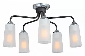 Потолочная люстра Vitaluce V4978 V4978-1/5PL