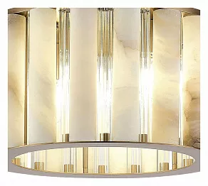 Накладной светильник ST-Luce Delight SL1516.302.06