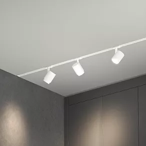 Светильник на штанге Elektrostandard Cors 85513/01