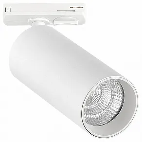 Светильник на штанге ST-Luce ST384 ST384.546.10