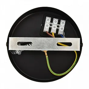 Подвесной светильник Lumion ECO 8365/1A