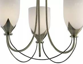 Подвесная люстра Odeon Light Risto 2079/3