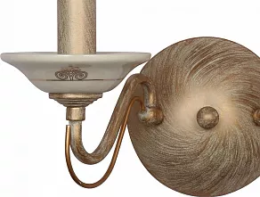 Бра Favourite Irdener 1389-2W