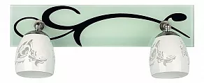 Спот Omnilux OM-223 OML-22301-02