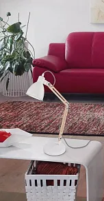 Настольная лампа офисная Eglo TORONA 1 901294