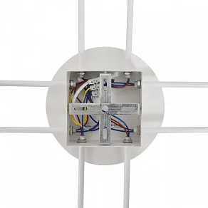 Потолочная люстра Lumion BENUA 8305/8C