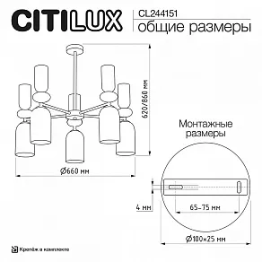 Люстра на штанге Citilux TENDY CL244151