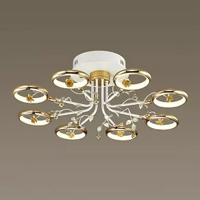Накладной светильник Odeon Light Fiuggi 4036/48L