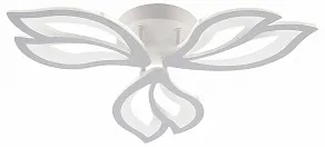 Потолочная люстра Natali Kovaltseva FORTUNA LED LAMPS 81107/2C