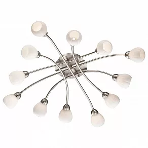 Потолочная люстра Odeon Light Akron 2469/12C