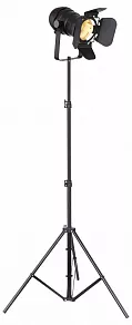 Торшер Globo Egon 54650-1SB