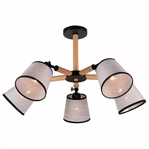 Люстра на штанге Imex 809 MD.0809-5-S BK+BR