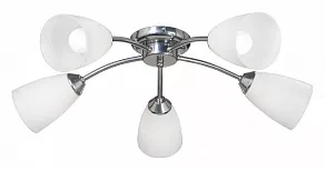 Потолочная люстра Vitaluce  V3944-9/5PL