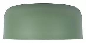 Накладной светильник Loft it Axel 10201/350 Green