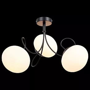 Потолочная люстра EVOLUCE Acini SL717.402.03