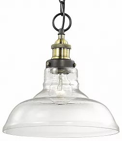 Подвесной светильник Odeon Light Latura 2899/1