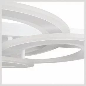 Накладной светильник Freya Sunny FR10022CL-L63W