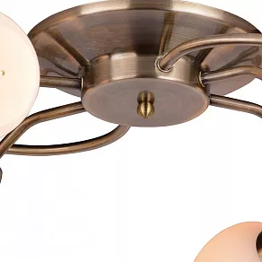 Потолочная люстра Arte Lamp Silvana A4033PL-6AB