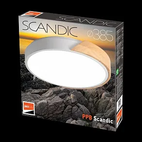 Накладной светильник Jazzway Sсandic 5036956