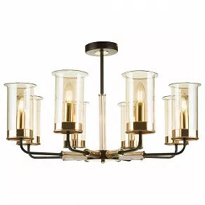 Люстра на штанге Freya Tera FR5029PL-08B