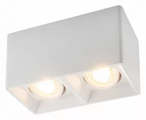 Накладной светильник Denkirs DK3020WW DK3035-WH