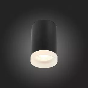 Накладной светильник ST-Luce ST100 ST100.402.01