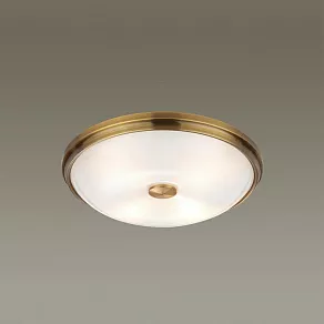 Накладной светильник Odeon Light Pelow 4956/4