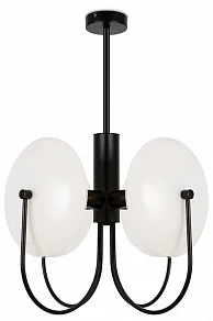Люстра на штанге Freya Ellipse FR5320PL-04B