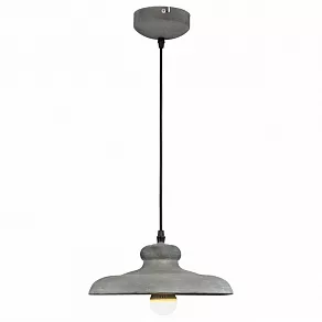 Подвесной светильник Arte Lamp Loft A5025SP-1BG