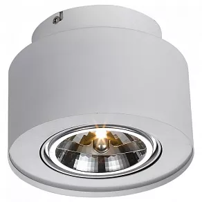 Накладной светильник Arte Lamp Cliff A5643PL-1WH