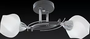 Светильник на штанге TopLight Lia TL7380X-02BC