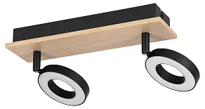 Спот Eglo RIELVES 901203