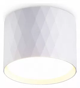 Накладной светильник Ambrella Light TN TN5358