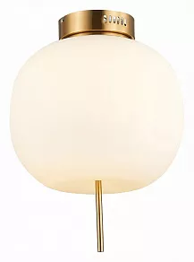 Накладной светильник ST-Luce Lacus SL1621.202.01
