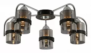 Потолочная люстра EVOLUCE Fiumo SLE102002-05