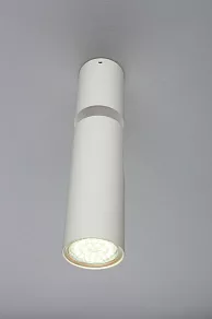 Спот Aployt Berenis APL.007.02.01