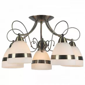 Потолочная люстра Arte Lamp Noemi A6192PL-5AB