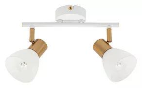 Спот Arte Lamp Falena A3117PL-2WH