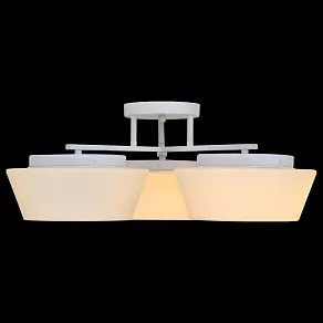 Потолочная люстра ST-Luce Adatto SL296.502.03